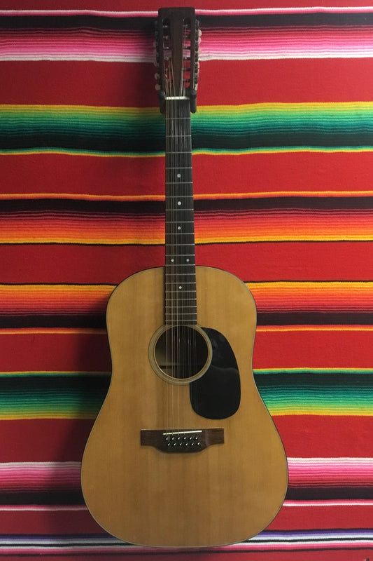 Martin D12-20 (1972)