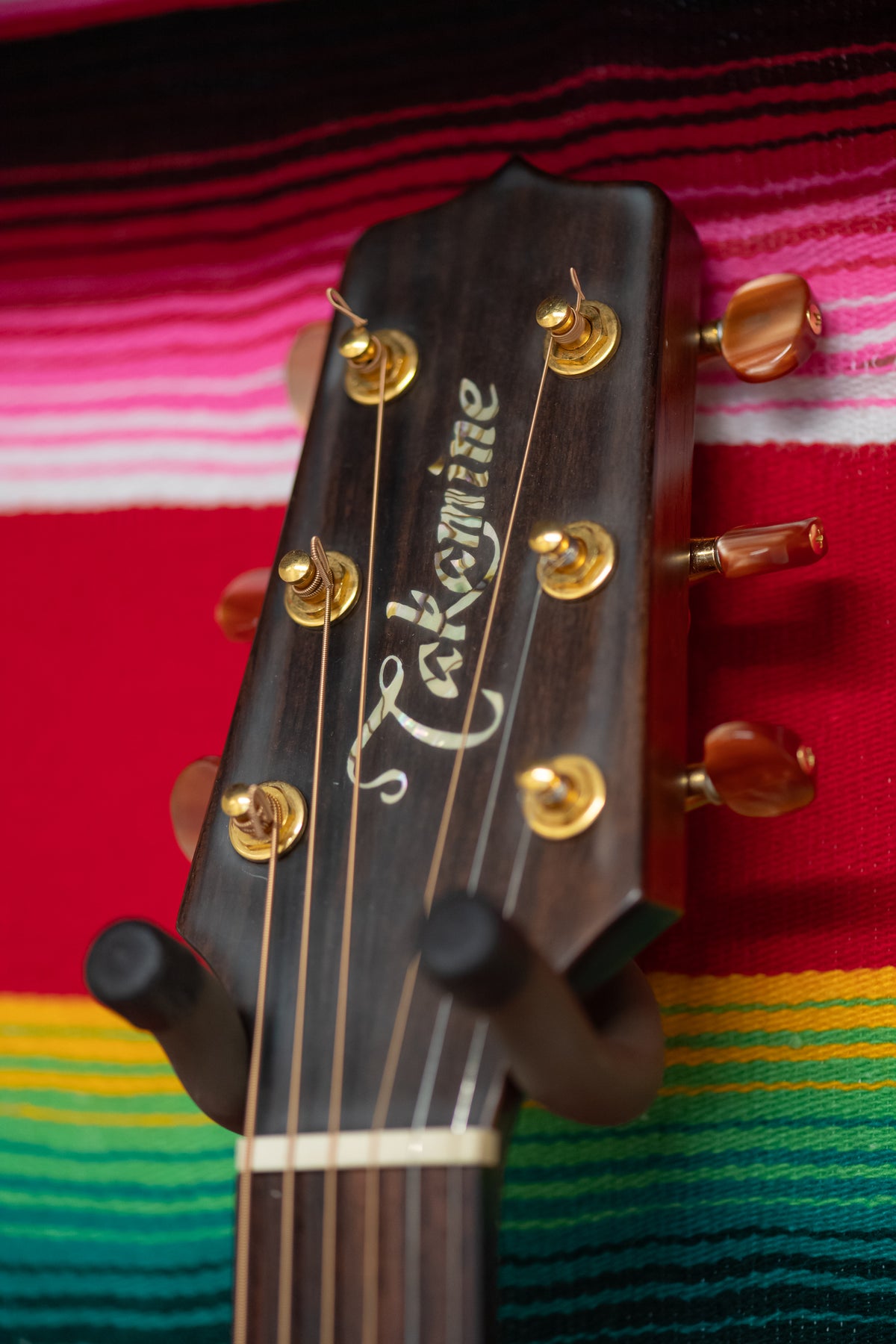 Takamine LTD99 "The Mountain" Natural (1999)