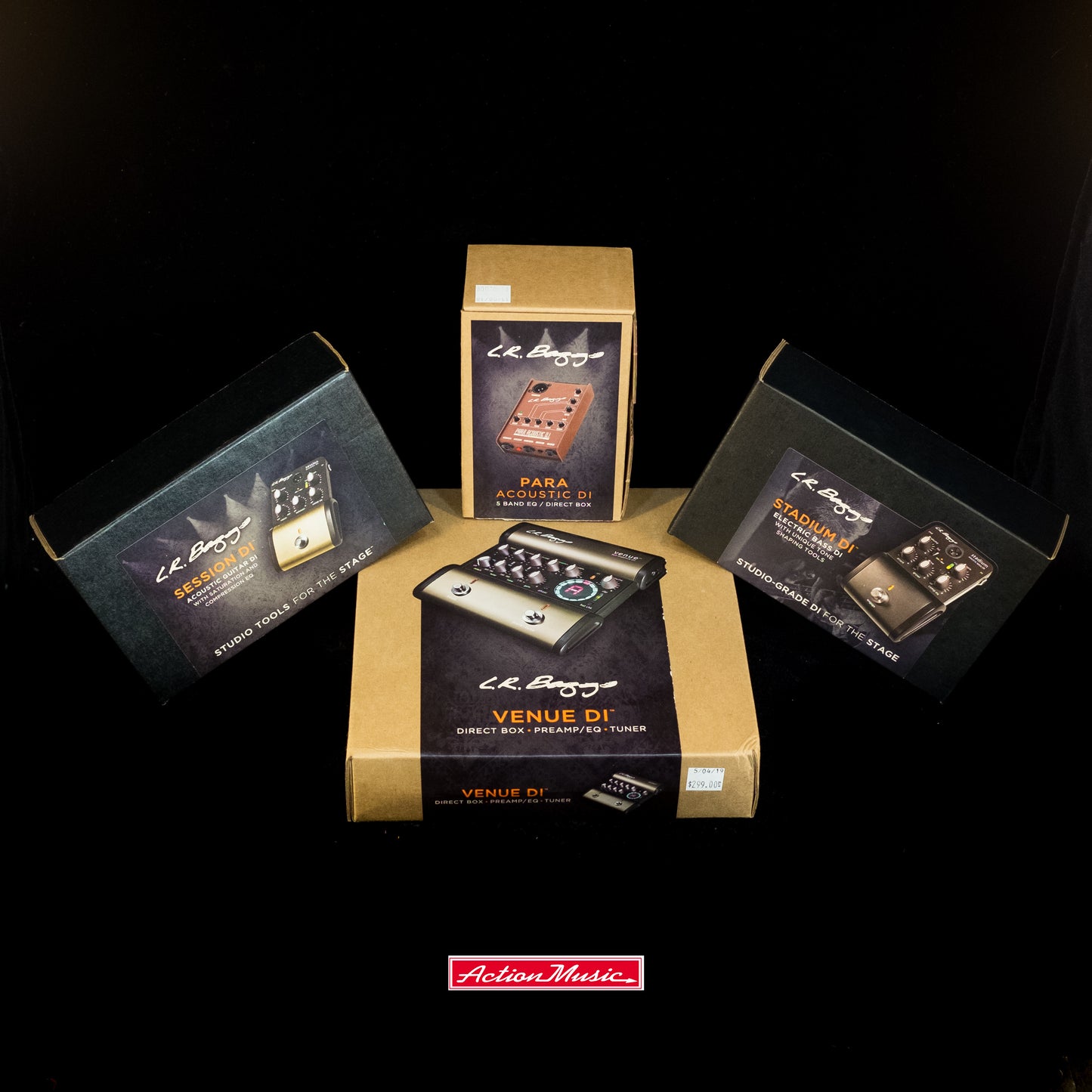 L.R. Baggs Venue DI