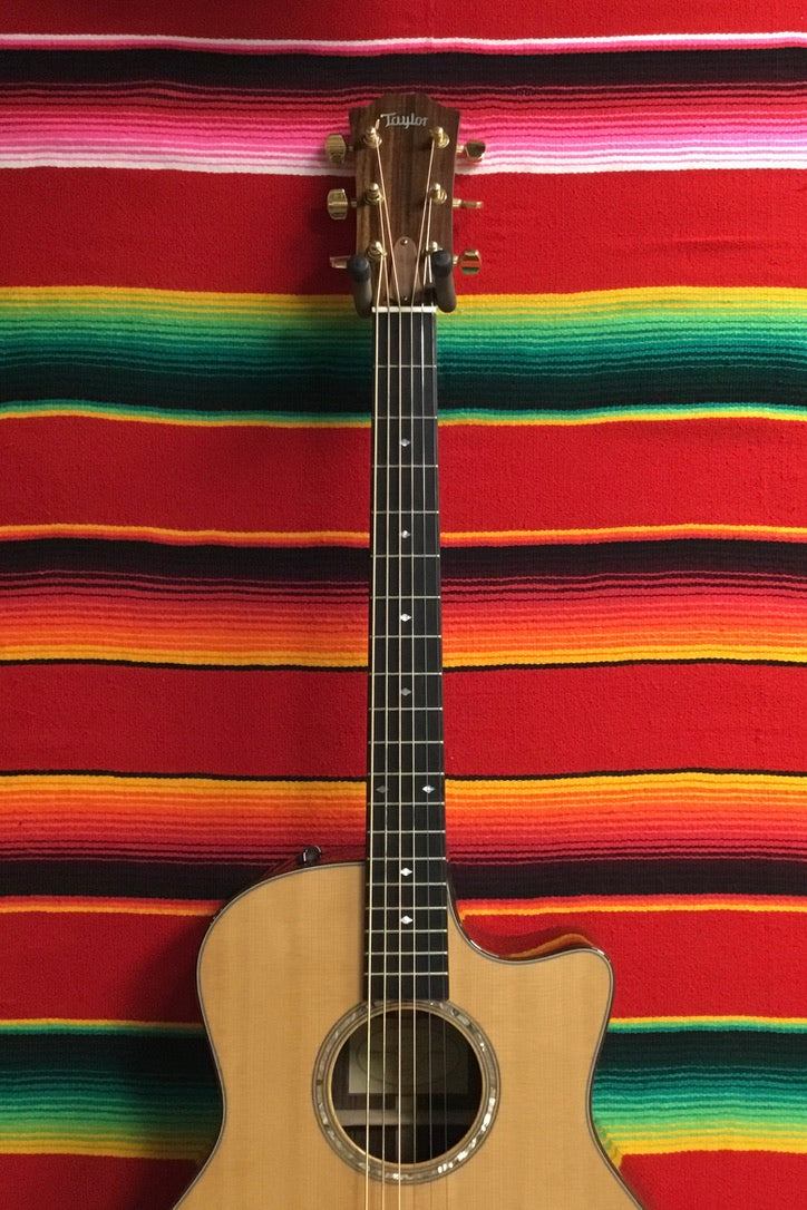 Taylor GT6 Baritone (2010)