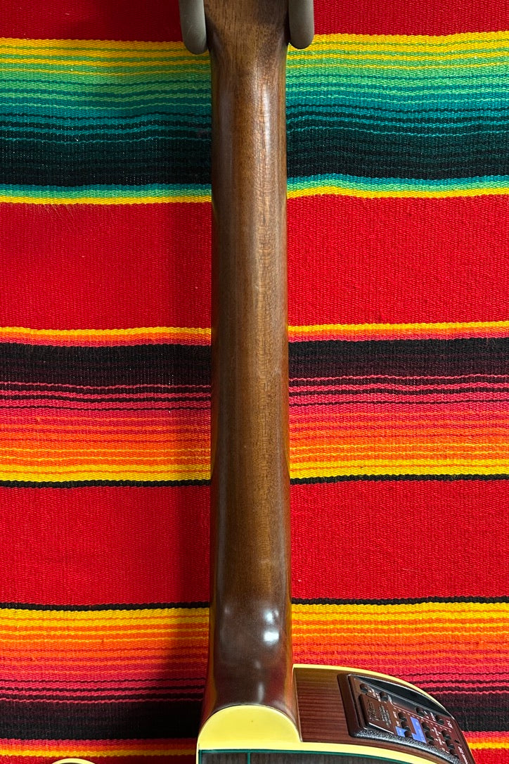 Takamine LTD99 "The Mountain" Natural (1999)