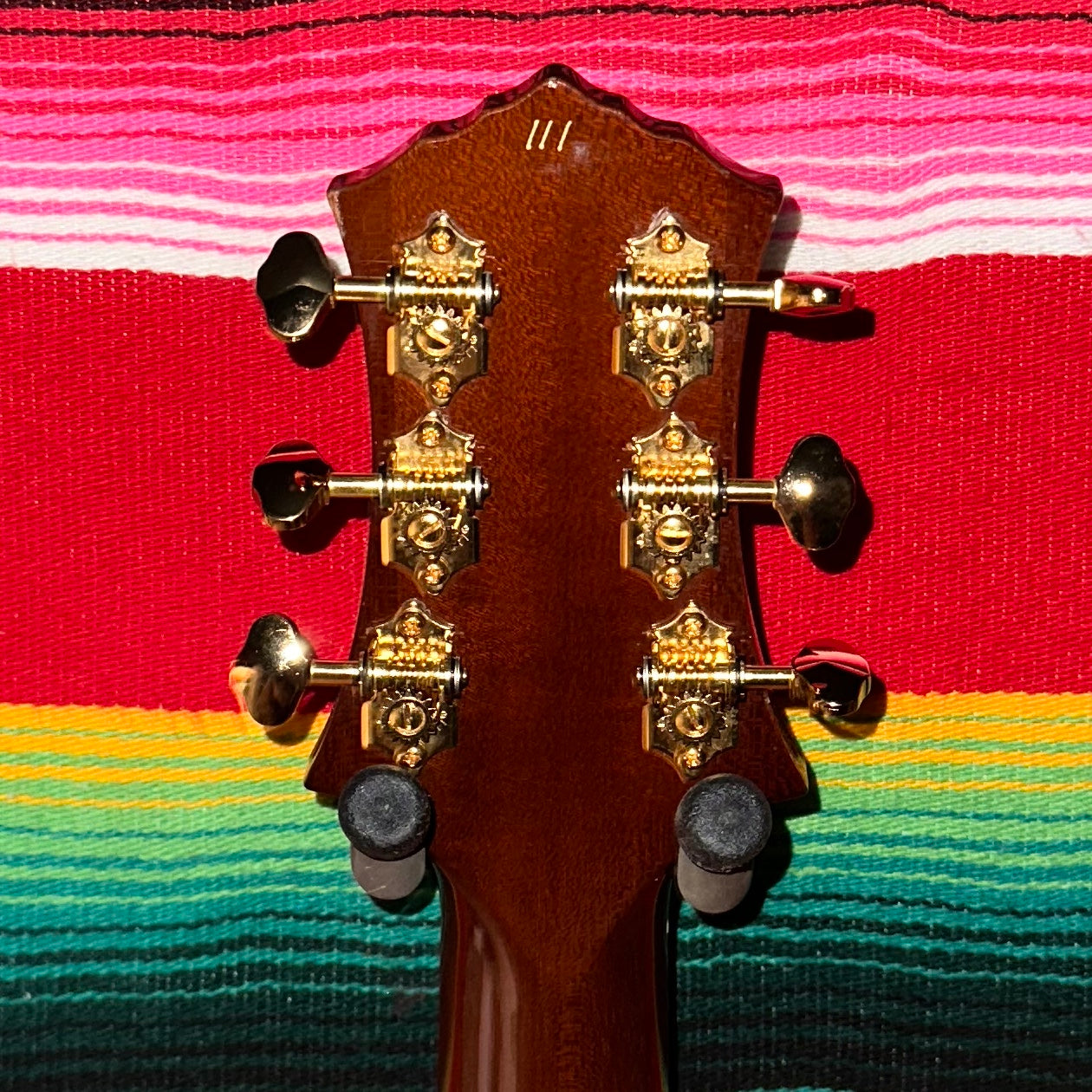Knaggs Chena (2011)