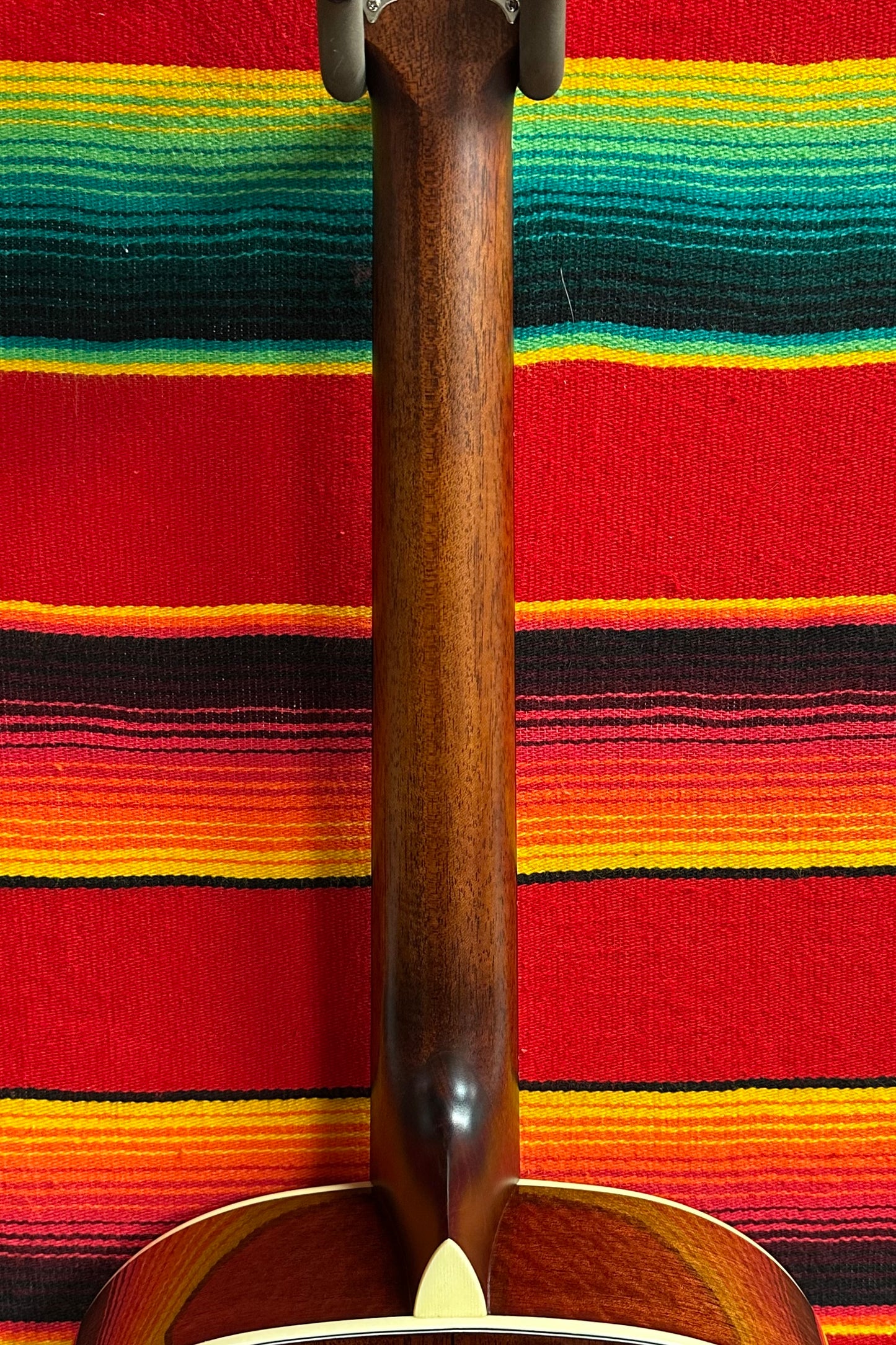 Eastman E6SS Thermo-Cure Natural (2024)