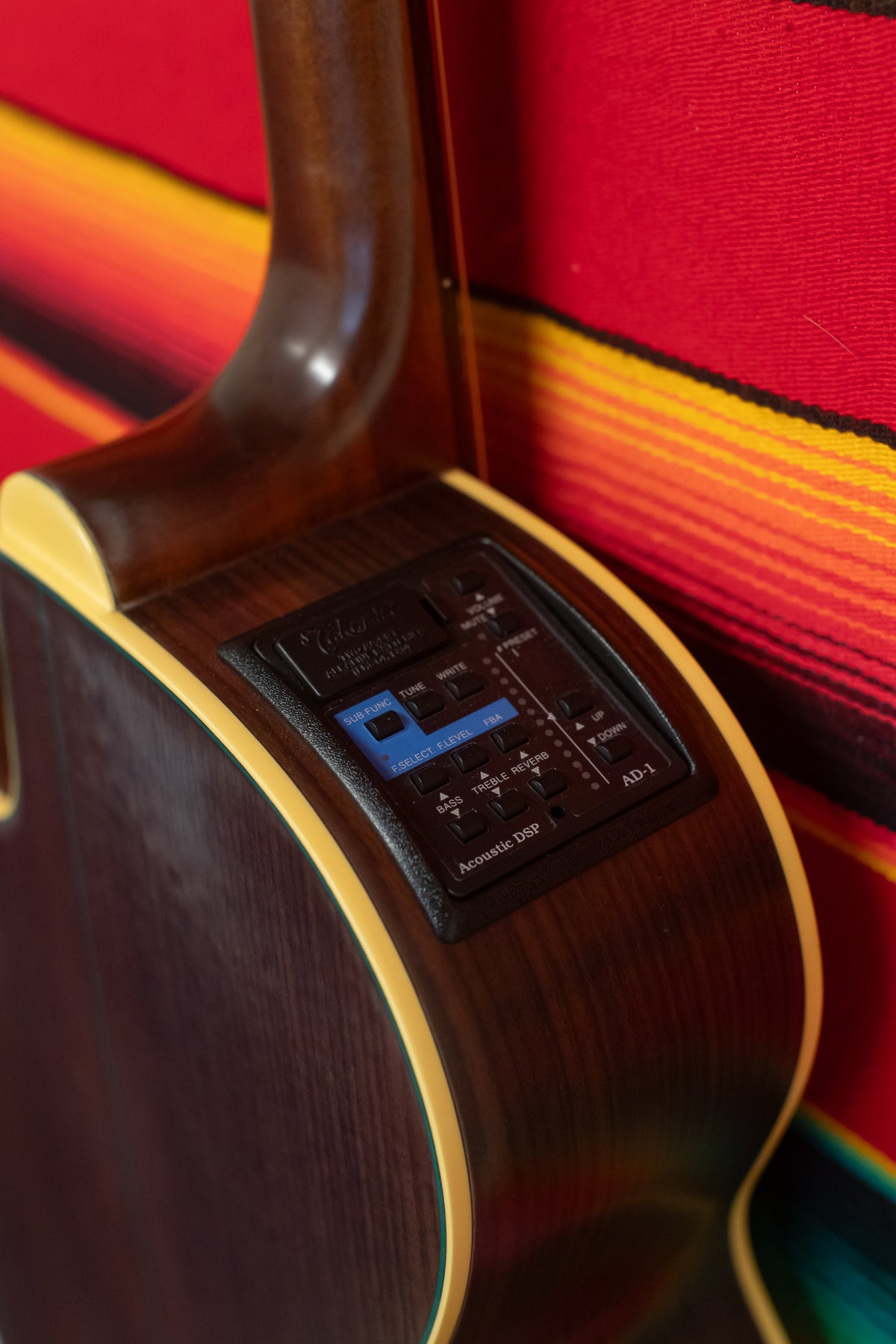 Takamine LTD99 "The Mountain" Natural (1999)