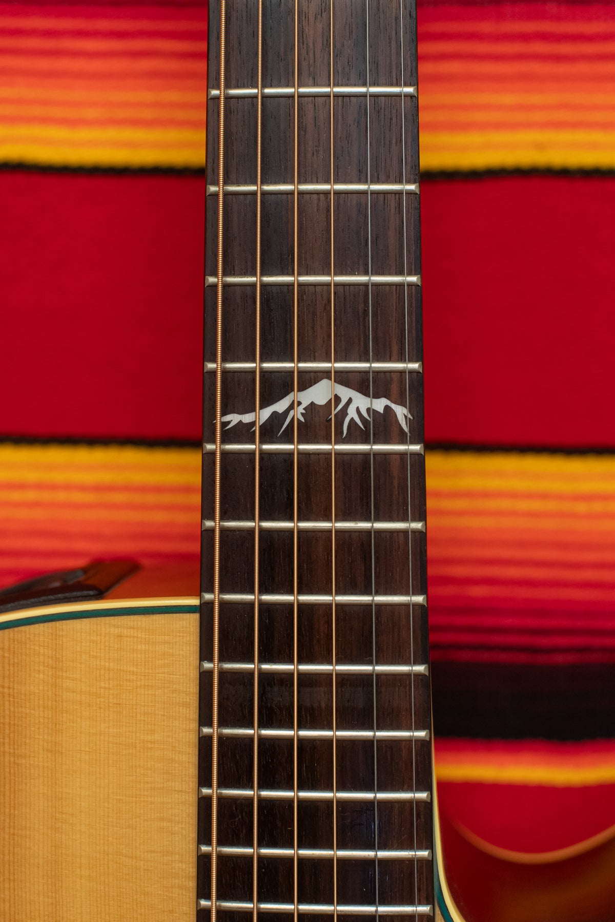 Takamine LTD99 "The Mountain" Natural (1999)